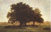 Group of Oaks at Apremont in the Forest of Fontainebleau (mk05)